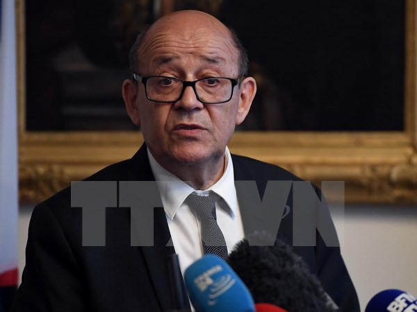 Frankreich unterstützt Anstrengungen zur Lösung der Libyen-Krise - ảnh 1