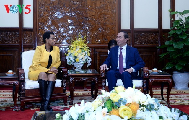 Staatspräsident Tran Dai Quang empfängt die südafrikanische Botschafterin - ảnh 1