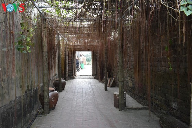 Das Idyll im historischen Dorf Duong Lam - ảnh 21