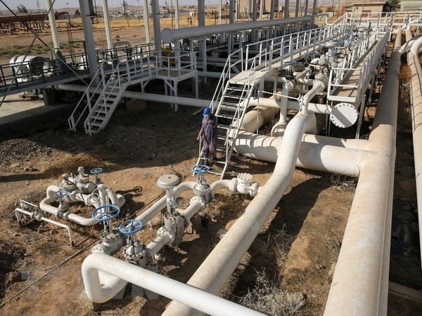 Wiederaufnahme des Ölexports in Kirkuk - ảnh 1
