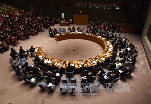 UNO ruft Ölhandelsunternehmen zur Umsetzung der Sanktionen gegen Nordkorea auf - ảnh 1