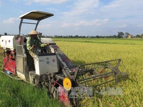 Thai Binh entwickelt die Landwirtschaft - ảnh 1