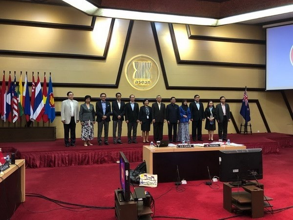 6. Sitzung der Zusammenarbeitskommission zwischen ASEAN und Neuseeland - ảnh 1