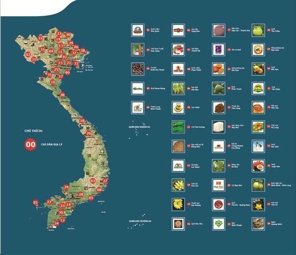 Geografische Herkunftsbezeichnungen für vietnamesische Landwirtschaftsprodukte - ảnh 1