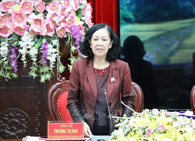 Kontaktverein für Auslandsvietnamesen: Verbindung der im Ausland lebenden Vietnamesen und der Heimat - ảnh 1