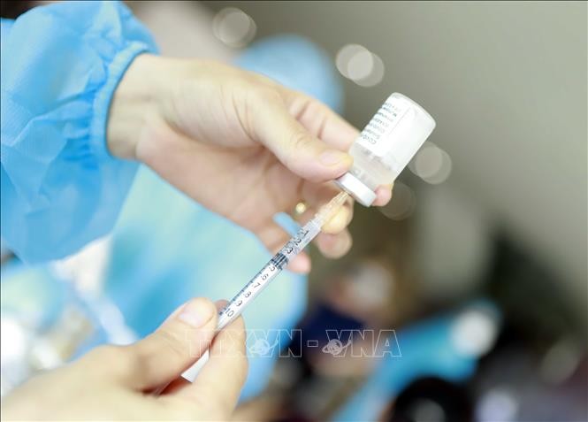 Regierung will 21,9 Millionen Pfizer-Impfdosen für Kinder von 5 bis 11 Jahren kaufen - ảnh 1
