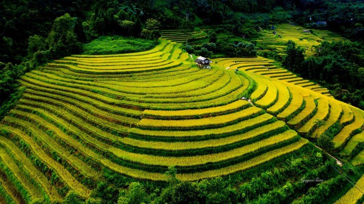 Idyllische Schönheit des Dorfes Nam Cang in der Provinz Sa Pa - ảnh 7