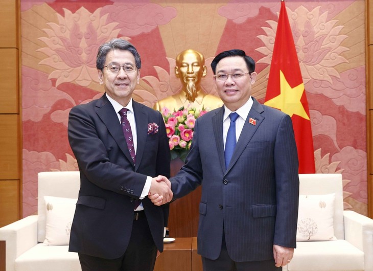 Parlamentspräsident Vuong Dinh Hue empfängt den Gouverneur von JBIC Tadashi Maeda - ảnh 1