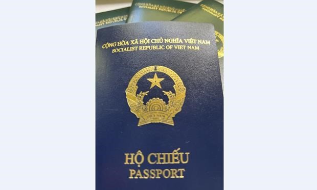 Vorübergehende Aussetzung der Visumerteilung für vietnamesische Bürger mit neuen Pässen durch Deutschland - ảnh 1