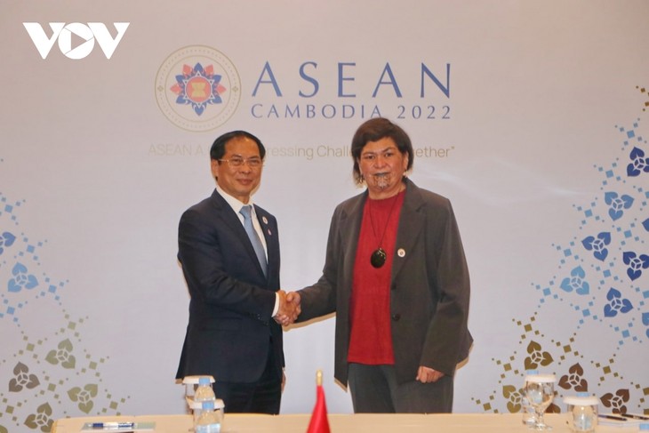 Außenminister Bui Thanh Son führt separate Gespräche mit Außenministern von ASEAN-Ländern - ảnh 1