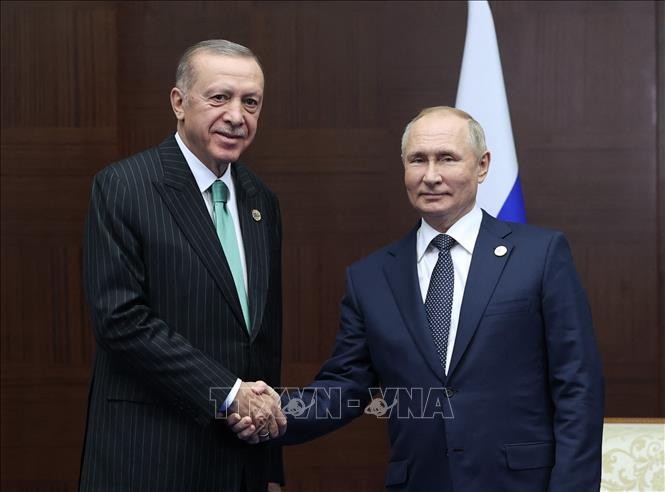 Russland und Türkei einigen sich auf Einrichtung eines Gas-Verteilerzentrums - ảnh 1