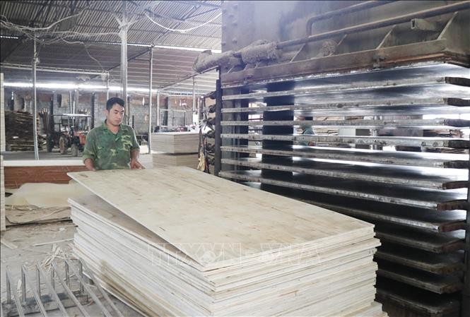 2022 exportiert Vietnam forstwirtschaftliche Produkte im Wert von fast 17 Milliarden US-Dollar - ảnh 1