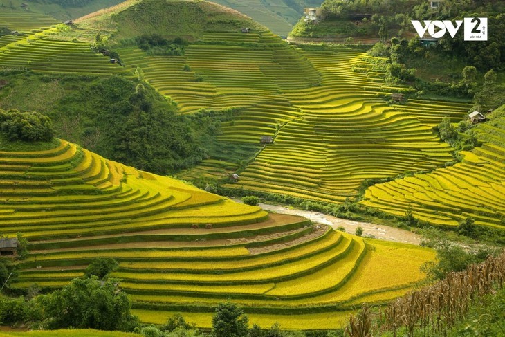 Vietnam – Eine der 21 Reisen, die man einmal im Leben machen sollte - ảnh 3