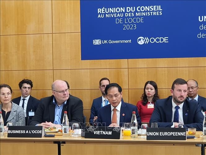 Treffen des OECD-Ministerrates: Außenminister Bui Thanh Son betonte Entschlossenheit zur grünen Wende  - ảnh 1