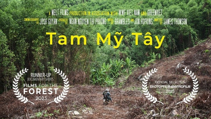 Kurzdokumentarfilm über Schutz von Grauschenkligen Kleideraffen gewinnt den zweiten Preis beim Wald-Filmfestival - ảnh 1