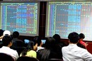 重寻越南证券市场的真正价值 - ảnh 1