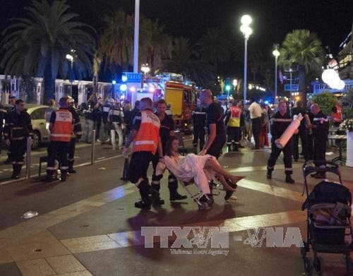 国际舆论谴责法国尼斯市恐怖袭击事件并对法国人民表示团结 - ảnh 1