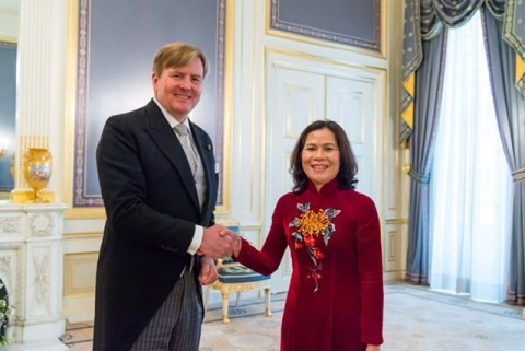 荷兰希望扩大与越南的合作关系 - ảnh 1