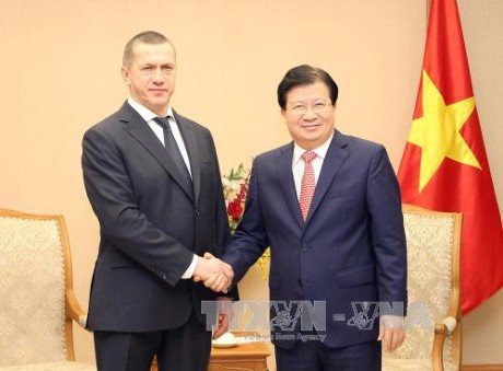 越南与俄罗斯推动经济贸易与投资合作 - ảnh 1