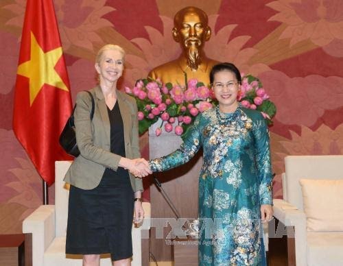 越南国会主席阮氏金银会见挪威和捷克驻越大使 - ảnh 1