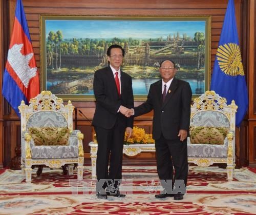 柬埔寨国会主席韩桑林：柬国会一向支持推动和发展柬越合作关系 - ảnh 1