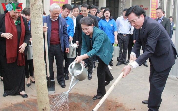 越南国会办公厅接收和种植羊蹄甲 - ảnh 1