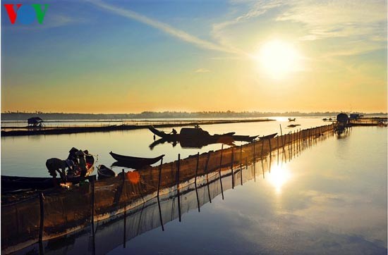 Romantic scenery at Tam Giang Lagoon - ảnh 12