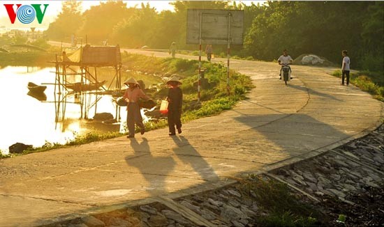 Romantic scenery at Tam Giang Lagoon - ảnh 6