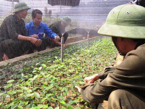 Vietnam will mehr Arbeitsplätze für Jugendliche auf dem Land schaffen - ảnh 1