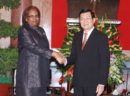 Staatspräsident Truong Tan Sang trifft Minister aus Angola und Kongo - ảnh 1