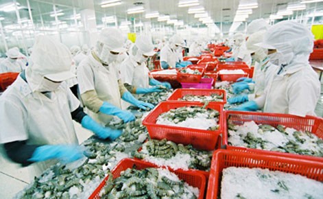 Vietnam exportierte 2013 Garnelen im Wert von 2,8 Milliarden US-Dollar  - ảnh 1