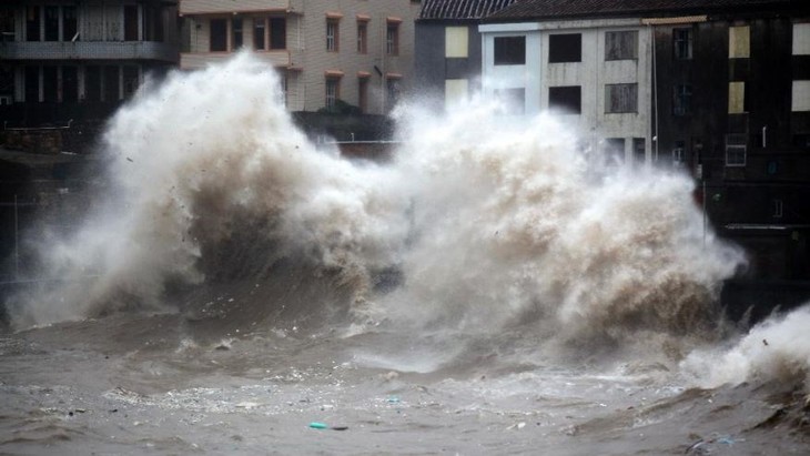 Taifun Chan-hom: China evakuiert 865.000 Personen - ảnh 1