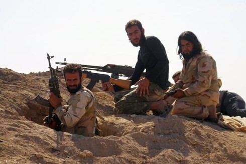 Waffenhilfe ist keine gute Maßnahme für die Allianz gegen den IS - ảnh 1