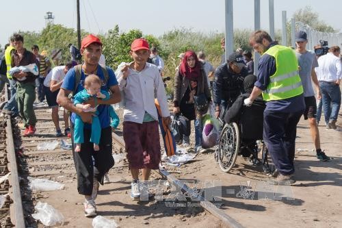 Außenministertreffen Mittelosteuropas und Westbalkans über Flüchtlingskrise - ảnh 1