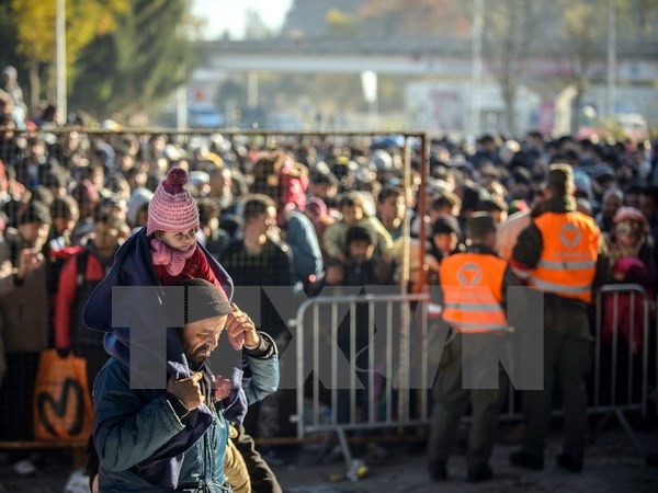Eine Million Flüchtlinge zieht 2016 nach Europa  - ảnh 1