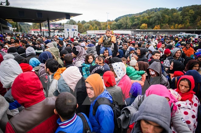 Österreich will bis 2019 etwa 50.000 Flüchtlinge ausweisen - ảnh 1