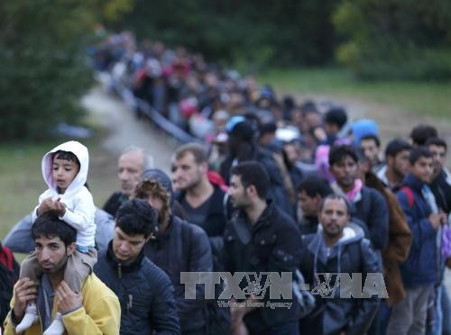 Flüchtlingskrise: EU unterstützt Bulgarien mit mehreren Millionen Euro für Grenzschutz - ảnh 1