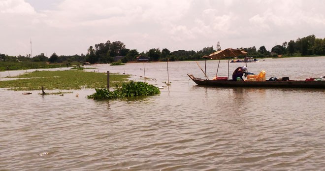 Bauern im Mekong-Delta bei der Anpassung an fehlende Überschwemmungen - ảnh 1