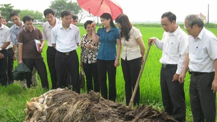     Doktor Lê Văn Tri – Wissenschaftler für die Bauern - ảnh 2