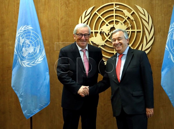 EU, AU und UNO verpflichten sich zu Förderung des Multilateralismus - ảnh 1
