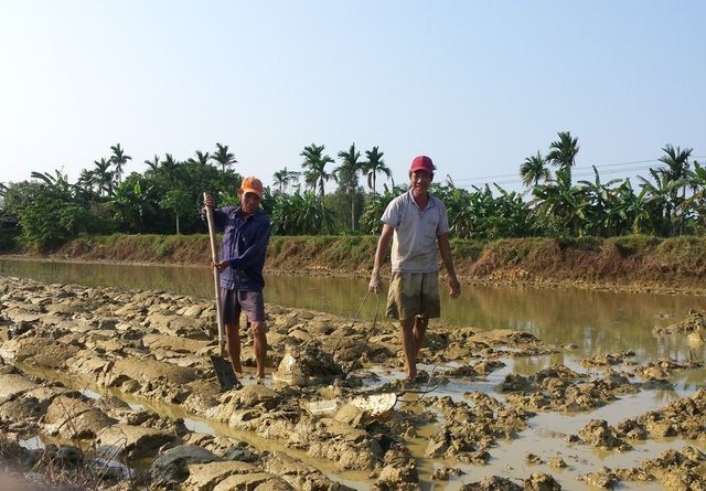 Das Dorf Cong Luong, wo sich nur Männer mit der Feldarbeit beschäftigen - ảnh 2