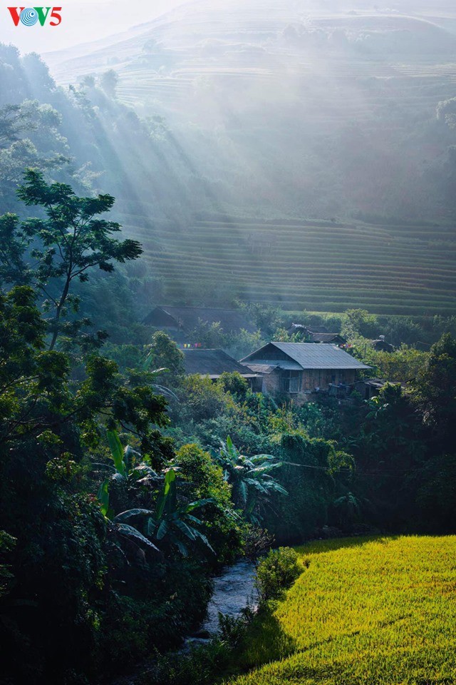 Schöne Reisterrassen in Mu Cang Chai zur Erntezeit - ảnh 4