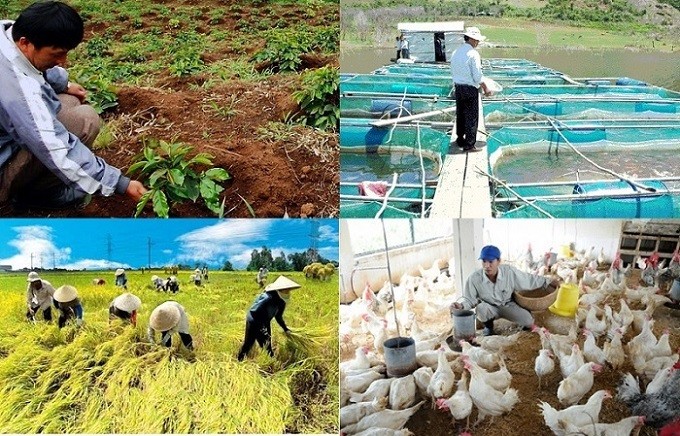 Die vietnamesische Landwirtschaft bewältigt Schwierigkeiten, um sich weiterzuentwickeln - ảnh 1