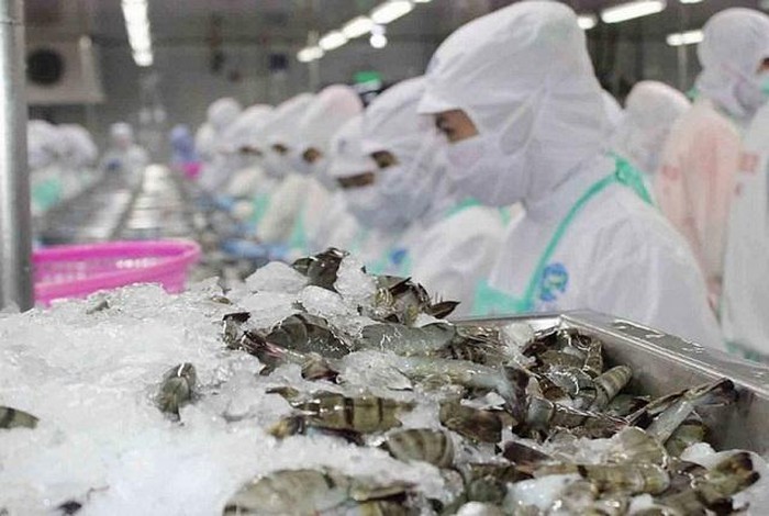 Zwölf vietnamesische Unternehmen dürfen Meeresfrüchte wieder nach Saudi-Arabien exportieren - ảnh 1