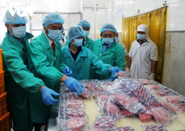 Vietnamesische Thunfische können nach Europa exportiert werden - ảnh 1