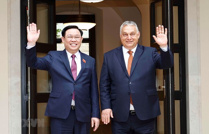Die umfassende Partnerschaft zwischen Vietnam und Ungarn verstärken - ảnh 1