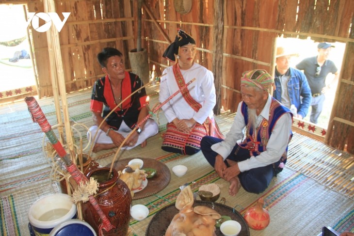 Die Provinz Binh Dinh bewahrt die Schönheit der traditionellen Kultur ethnischer Minderheiten - ảnh 1