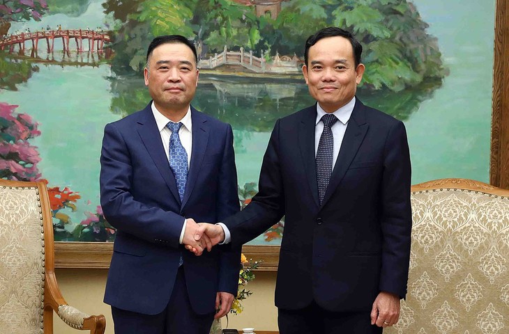 Vizepremierminister Tran Luu Quang trifft Präsident des Konzerns Sunny - ảnh 1