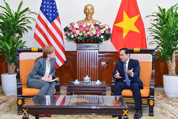 Außenminister Bui Thanh Son empfängt USAID-Direktorin Samantha Power - ảnh 1