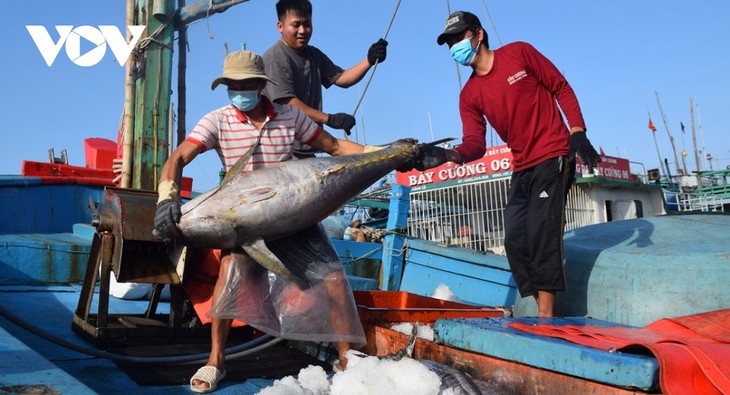 Japan ist der größte Importeur vietnamesischer Meeresfrüchte - ảnh 1